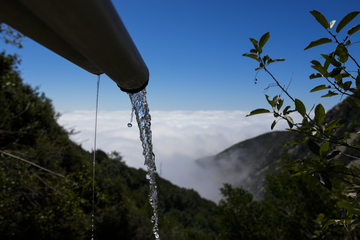 Forest Service shuts off taps to bottled water company