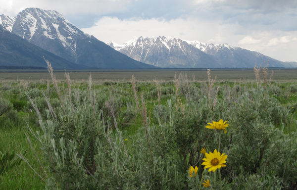 A view across land the state of Wyoming owns inside Grand Teton National Park. 