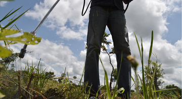 EPA updates strategy to cut herbicide risk to wildlife