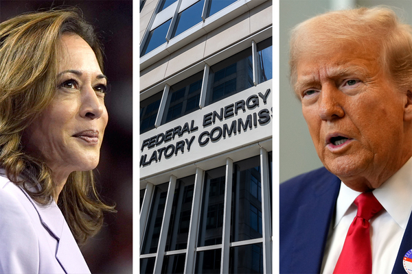 Kamala Harris, FERC, Donald Trump