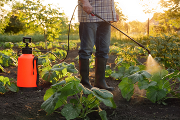 EPA announces permanent halt to fetus-harming pesticide