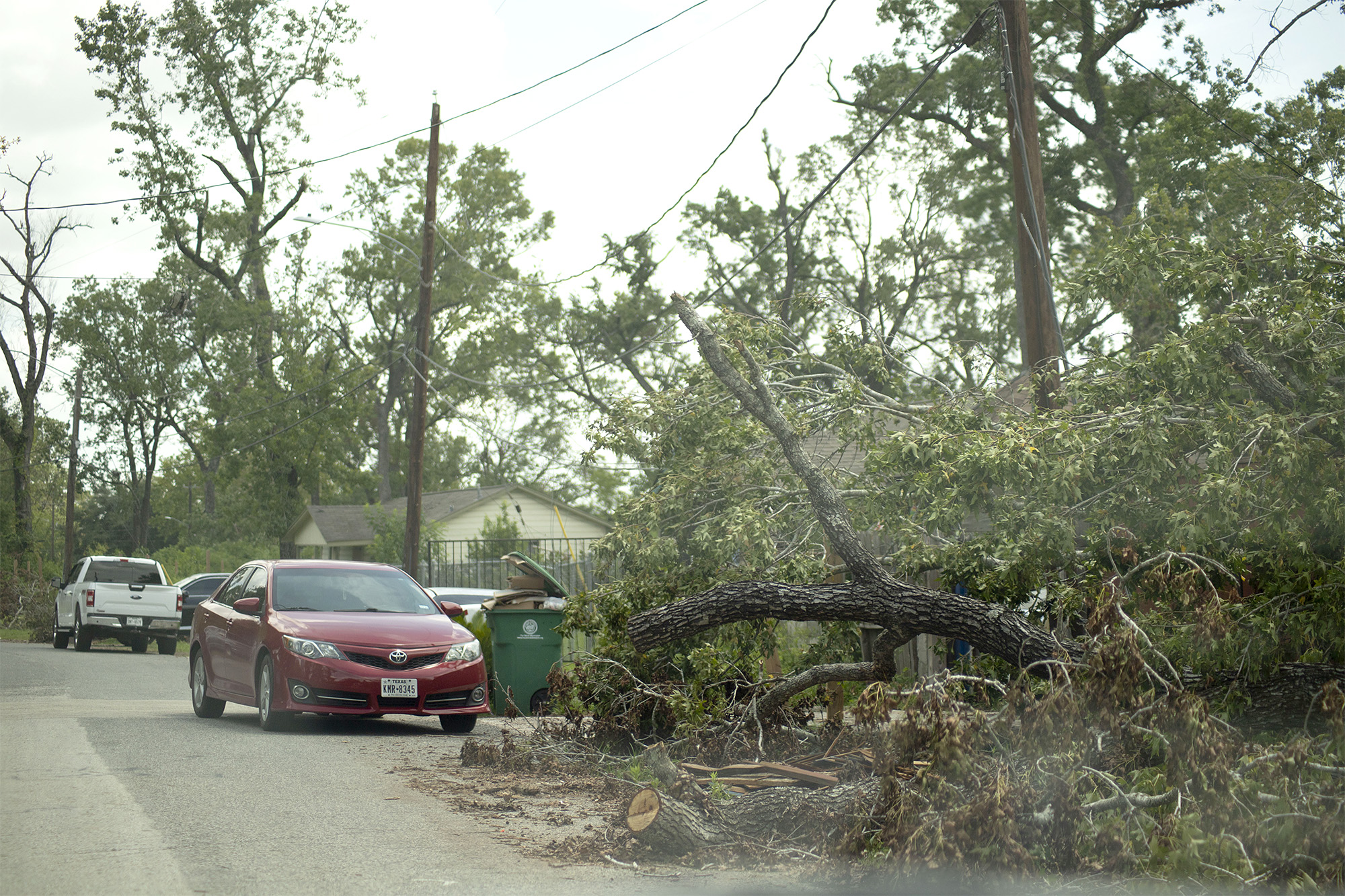 Downed trees in Houston's Trinity-Houston Gardens neighborhood, July 15, 2024. Much of the neighborhood was still without power a week after Hurricane Beryl struck the city.